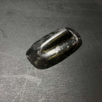 Antenna Aerial Cover in Forged Carbon Fiber - MINI F55/F56/F57/GP3 - RSI c6