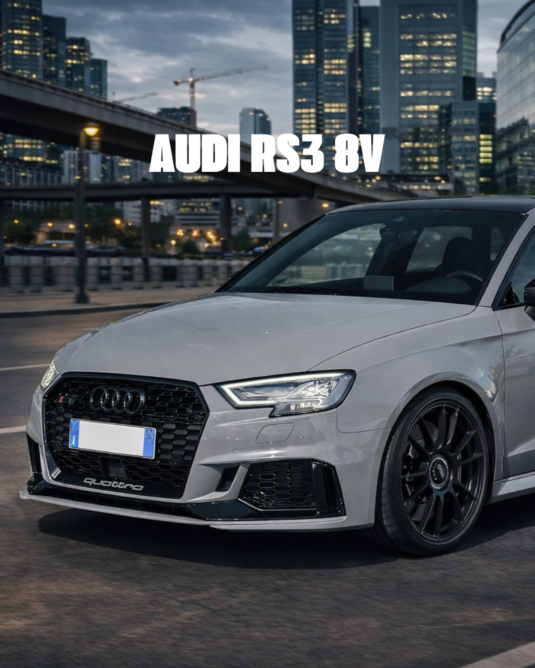 AUDI RS3 8V with carbon body kit: fender, sides skirts, ducktail, spoiler, diffuser, mirror caps