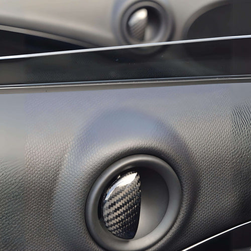 Door Pull Overlays Carbon - MINI R60 Countryman - RSI c6