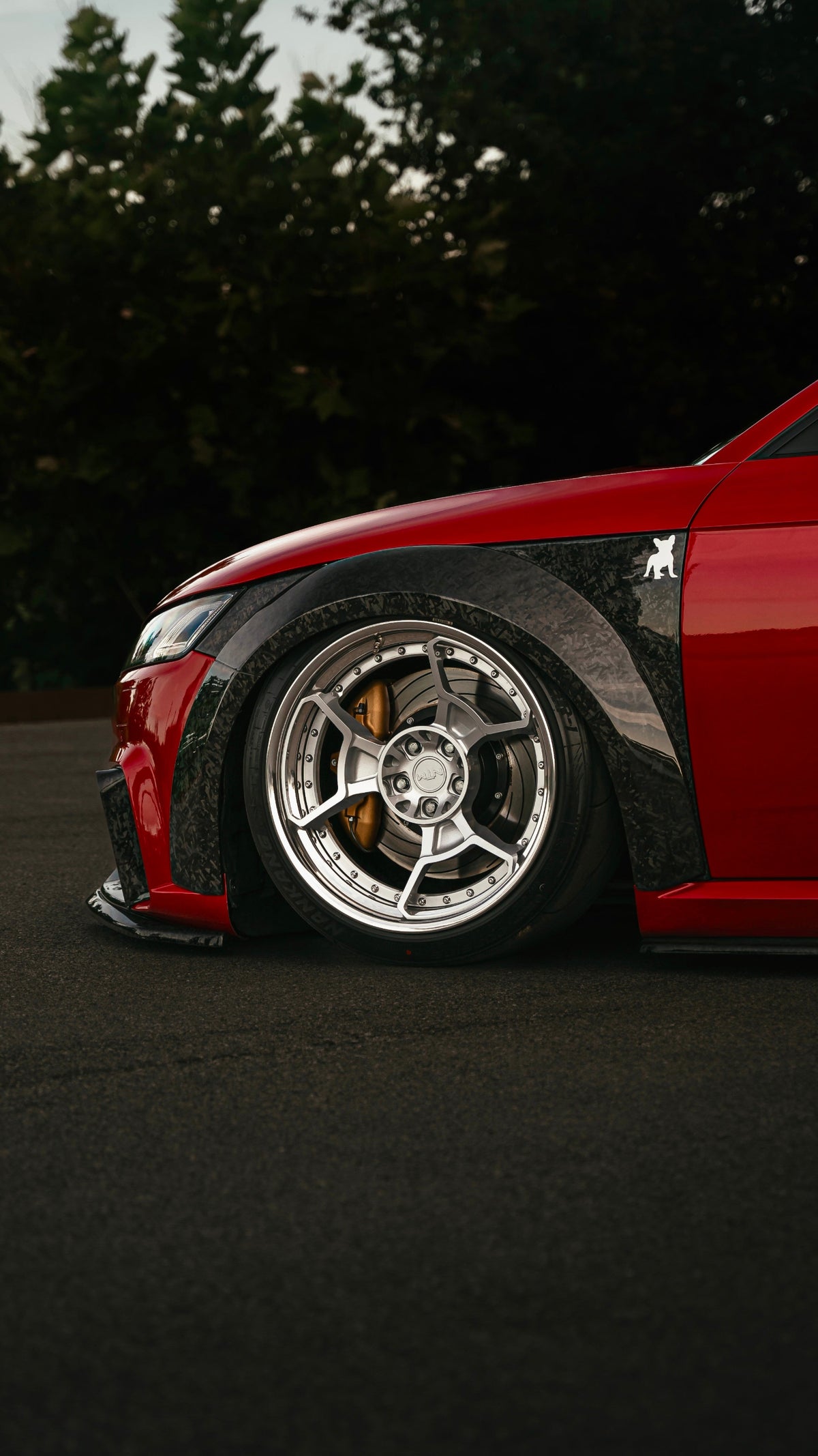 a full body kit for your AUDI TT 8S mk3 in forged carbon: from wide arches to big spoiler, fuel cap, sides skirtsand other more in 3 different color of car