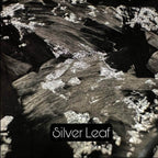 Carbon grill kidneys in Forged Carbon Fiber - BMW F87 M2 - RSI c6