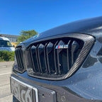 Carbon grill kidneys in Carbon Fiber - BMW F87 M2C - RSI c6