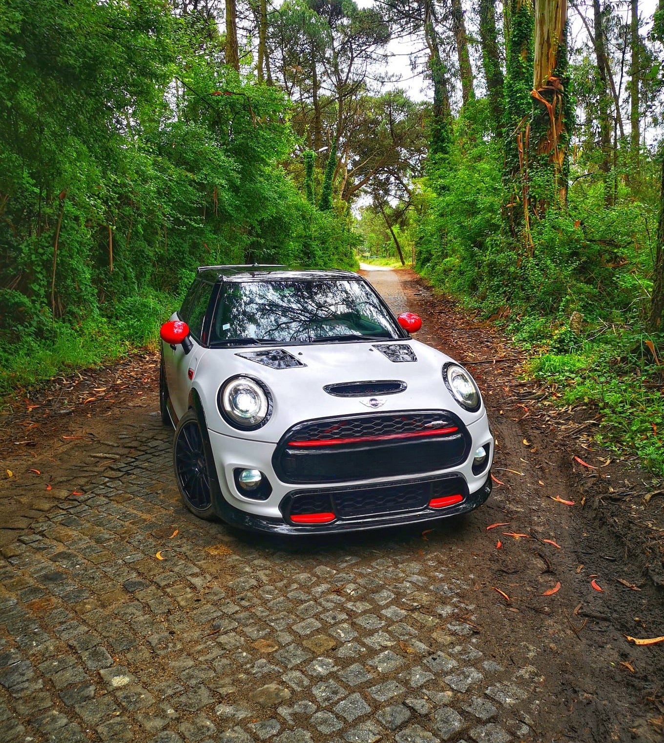 Carbon fiber body kit for MINI Cooper Cooper S jcw F55 by RSI c6