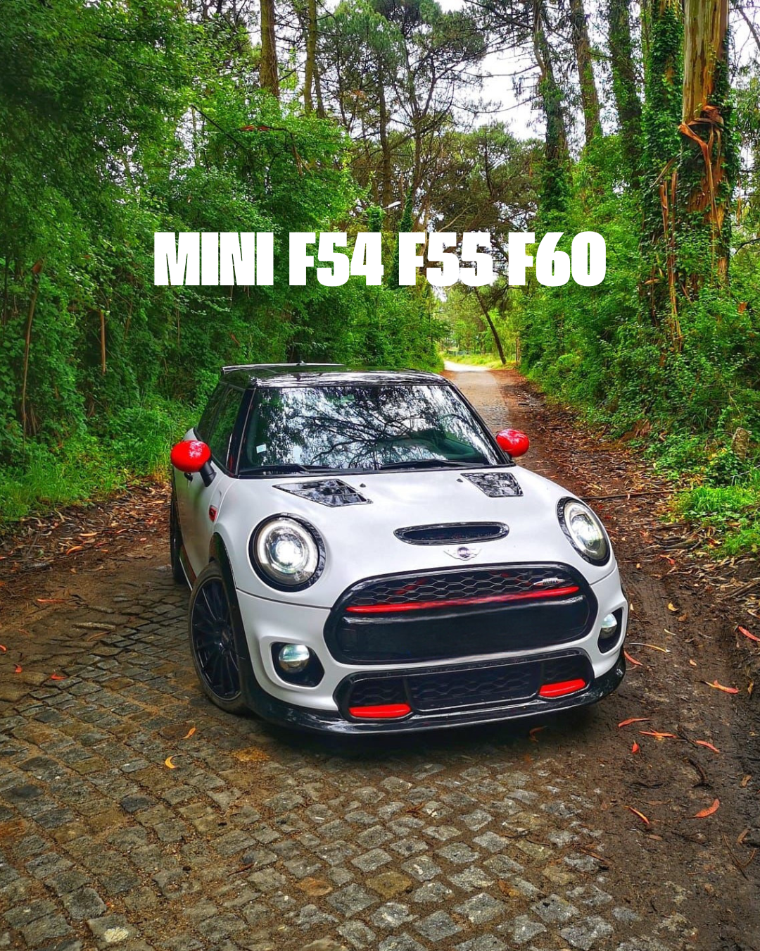 MINI F54 F55 F56 with forged carbon fiber body kit: fender, sides skirts, ducktail, spoiler, diffuser, mirror caps