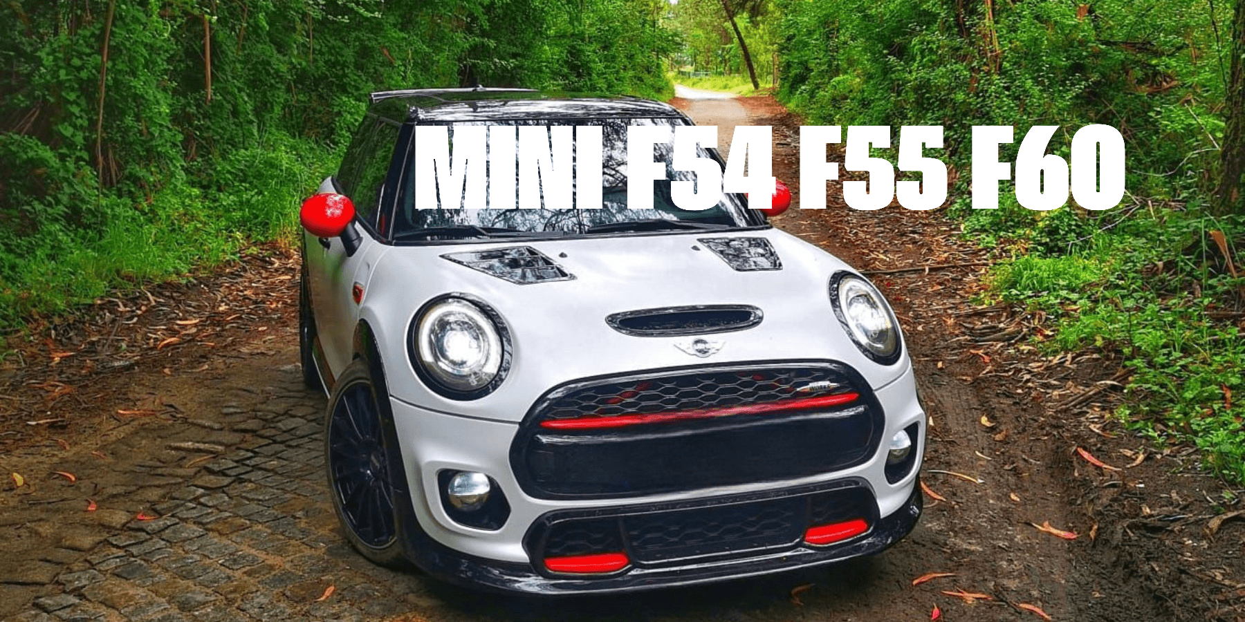Classic Mini Heater Slide Carbon Fibre Sticker – MK3 Mini Cooper Clubman 1275GT