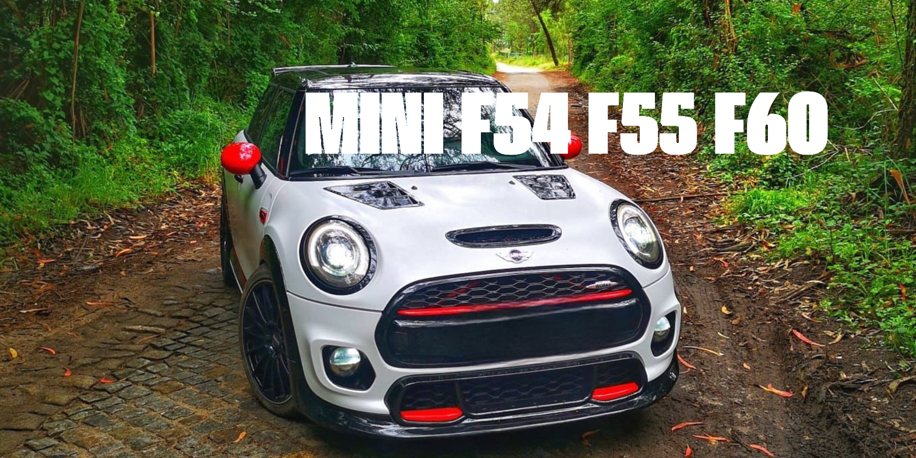 MINI F54 F55 F56 with forged carbon fiber body kit: fender, sides skirts, ducktail, spoiler, diffuser, mirror caps
