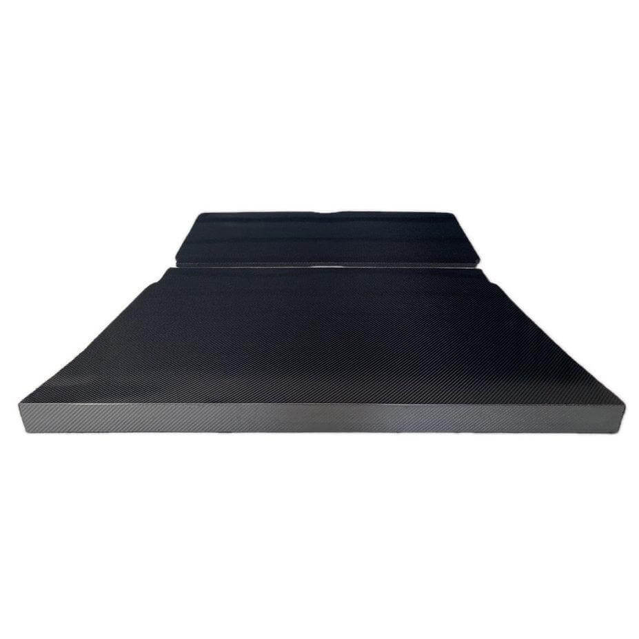 Rear Seat Delete in Carbon Fiber - MINI R50 / R52 / R53 / R56 - RSI c6