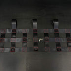 Rear Sport Net - MINI GP3 - RSI c6