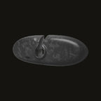 Rearview Mirror in Forged Carbon Fiber - MINI R55 / R56 - RSI c6