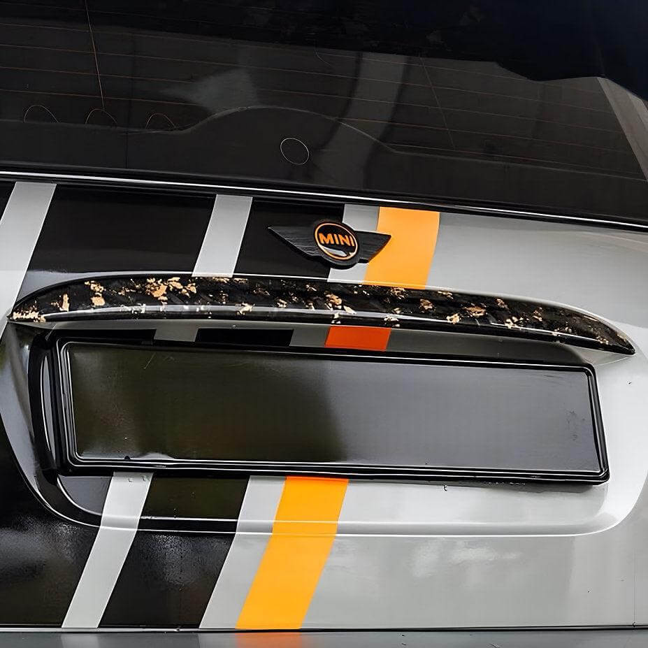 Trunk Handle in Forged Carbon - MINI R53 - RSI c6