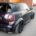Wide Arches in Pre-preg Carbon Fiber - MINI F56 / F57 / GP3 - RSI c6